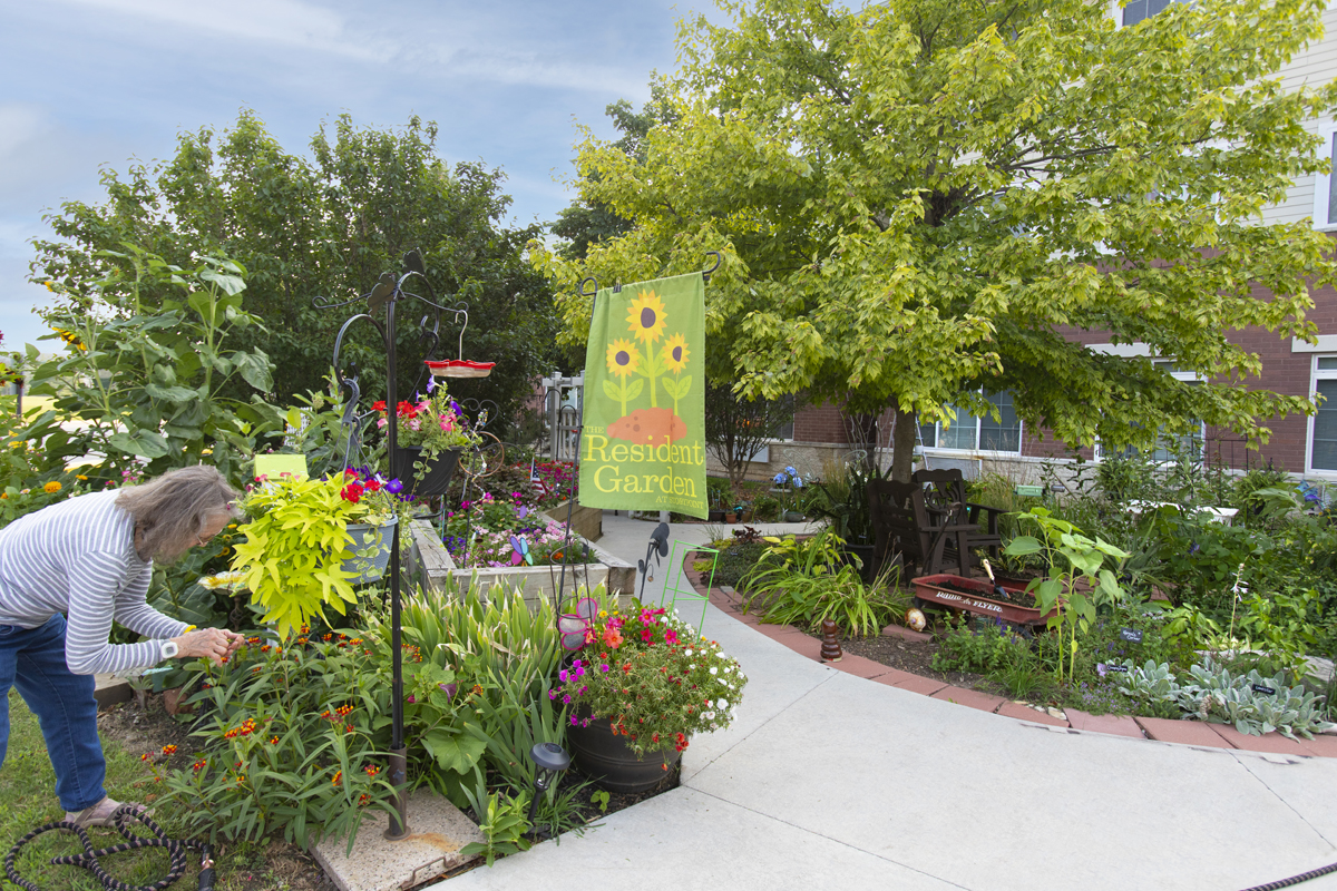 StoryPoint Romeoville, Romeoville, IL 33