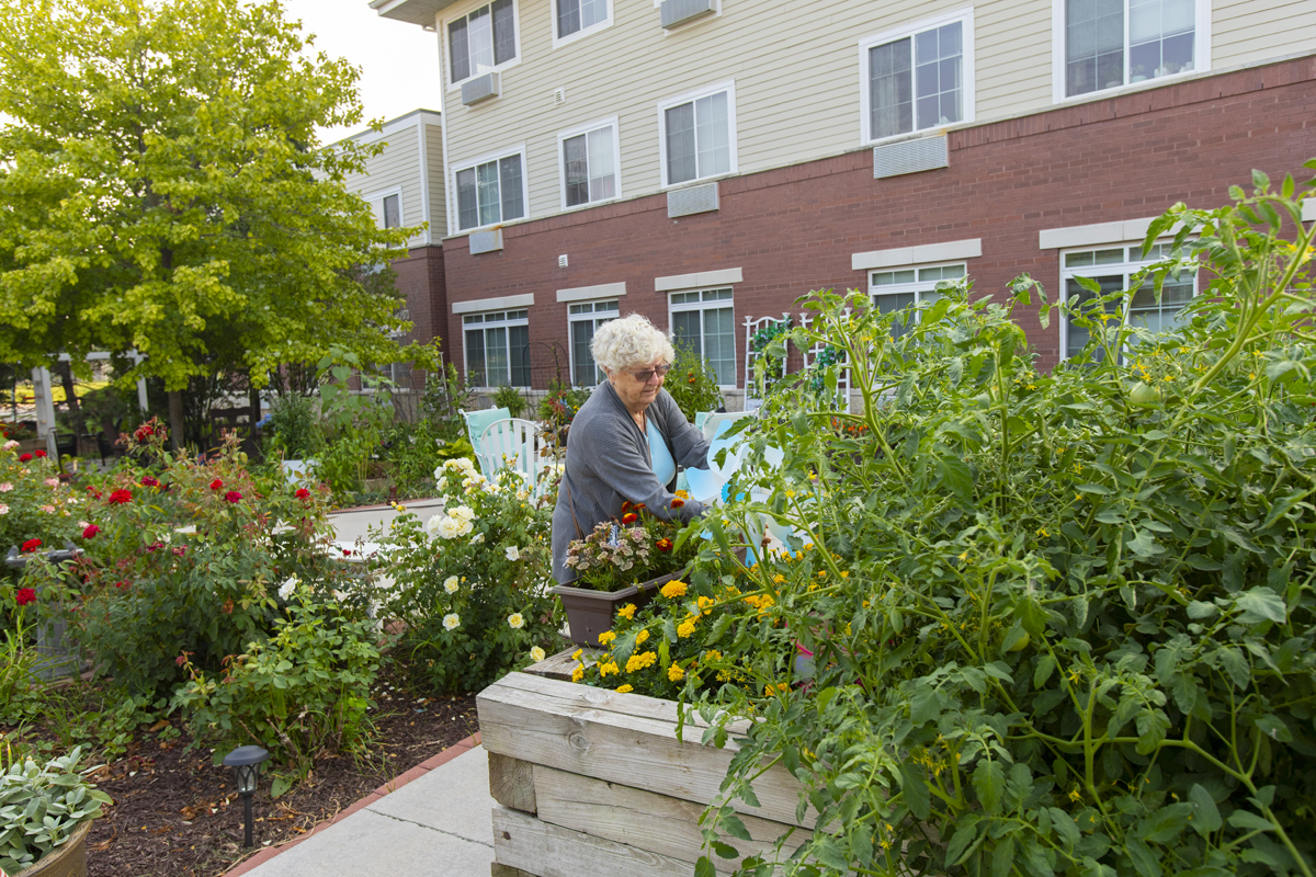 StoryPoint Romeoville, Romeoville, IL 35