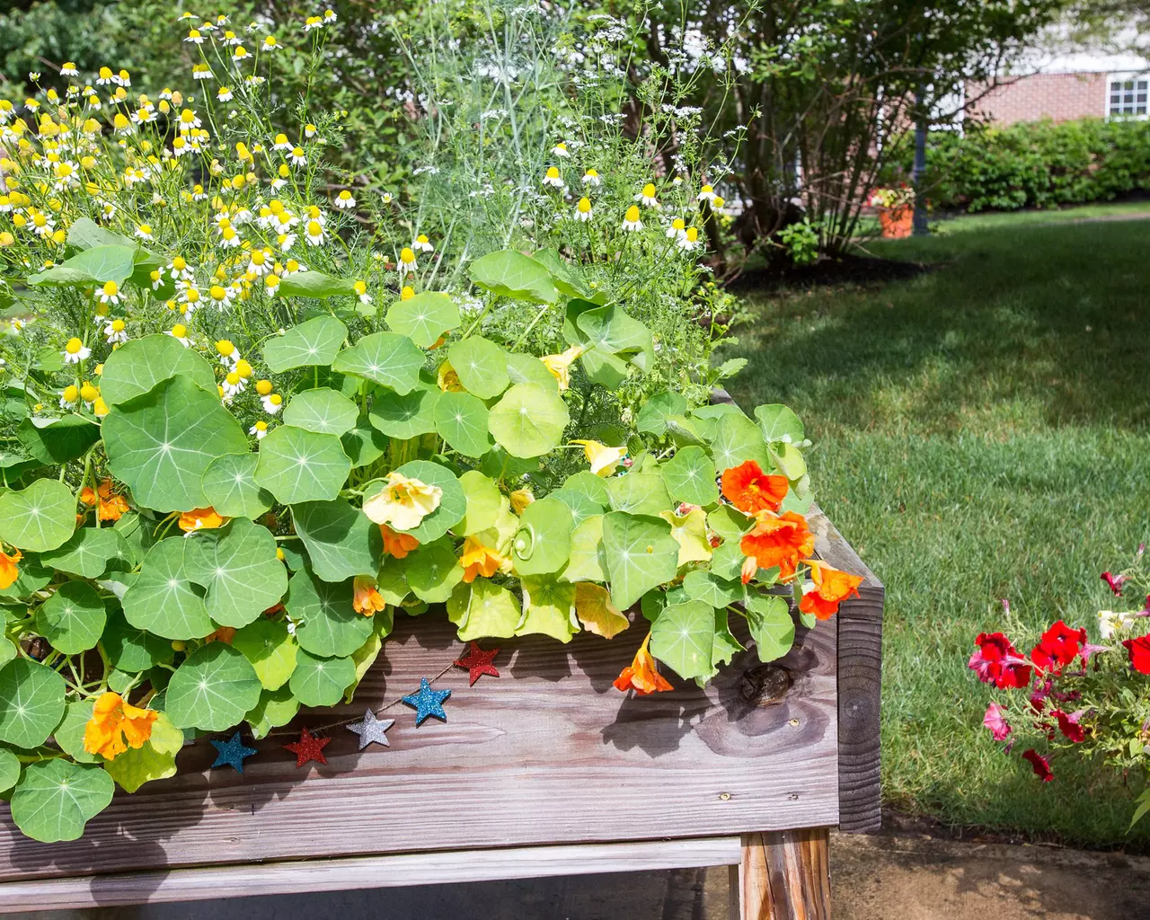 Independence Village of Avon Lake, Avon Lake, OH 12