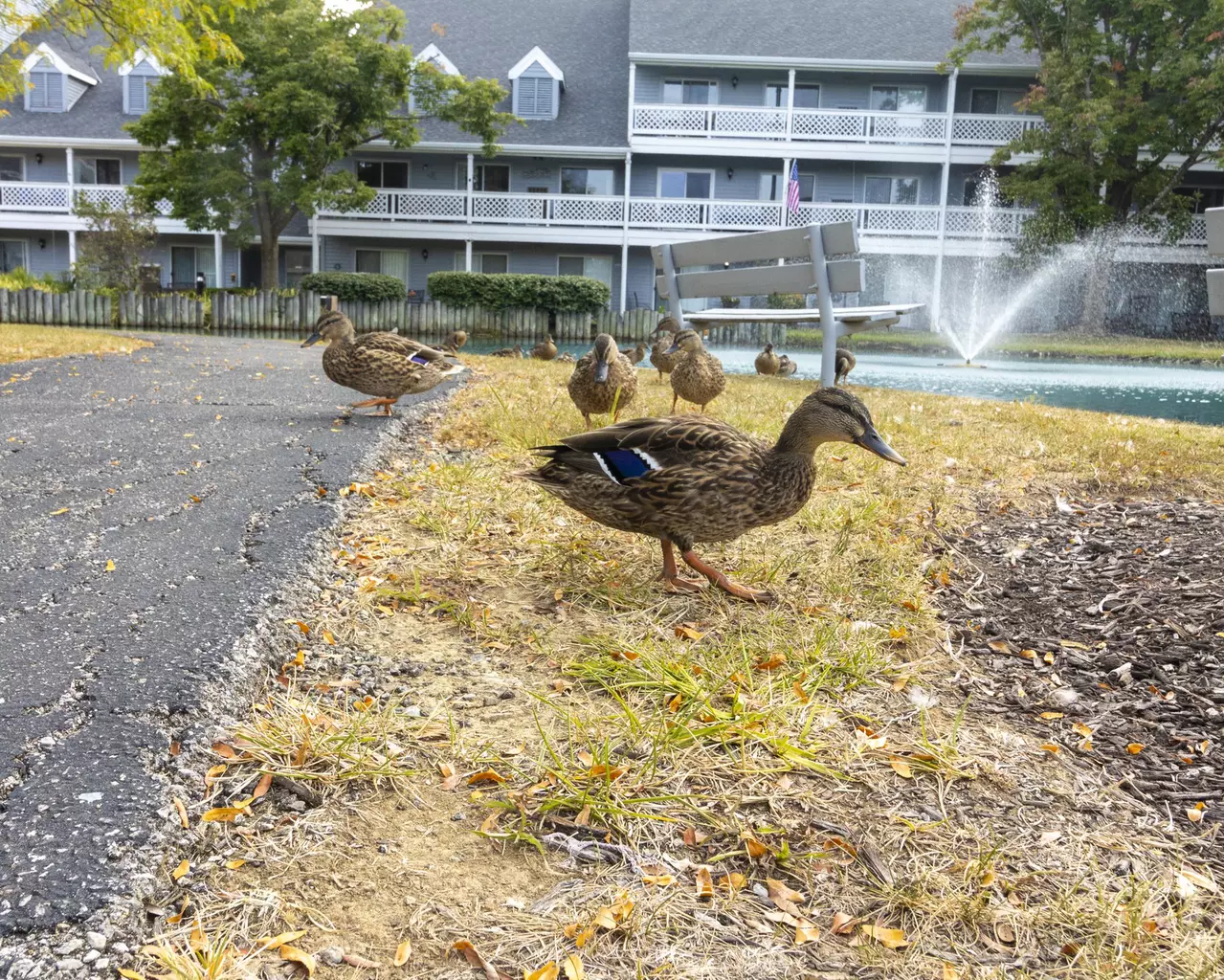 StoryPoint Cincinnati (New England Club), Cincinnati, OH 13