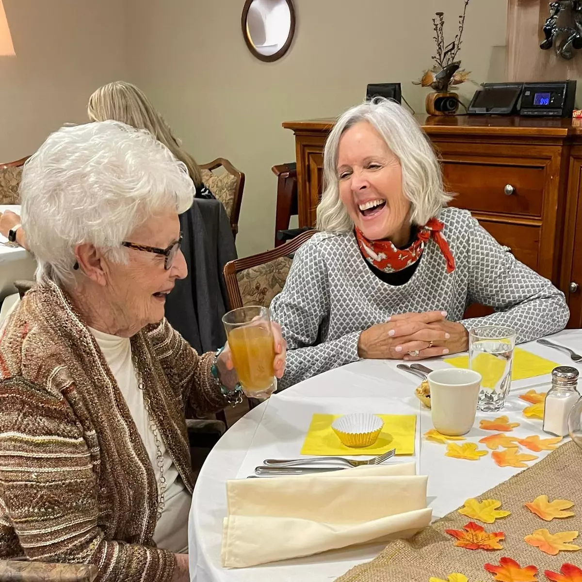 Stonegate Village Assisted Living & Memory Care, Sandusky, MI 17