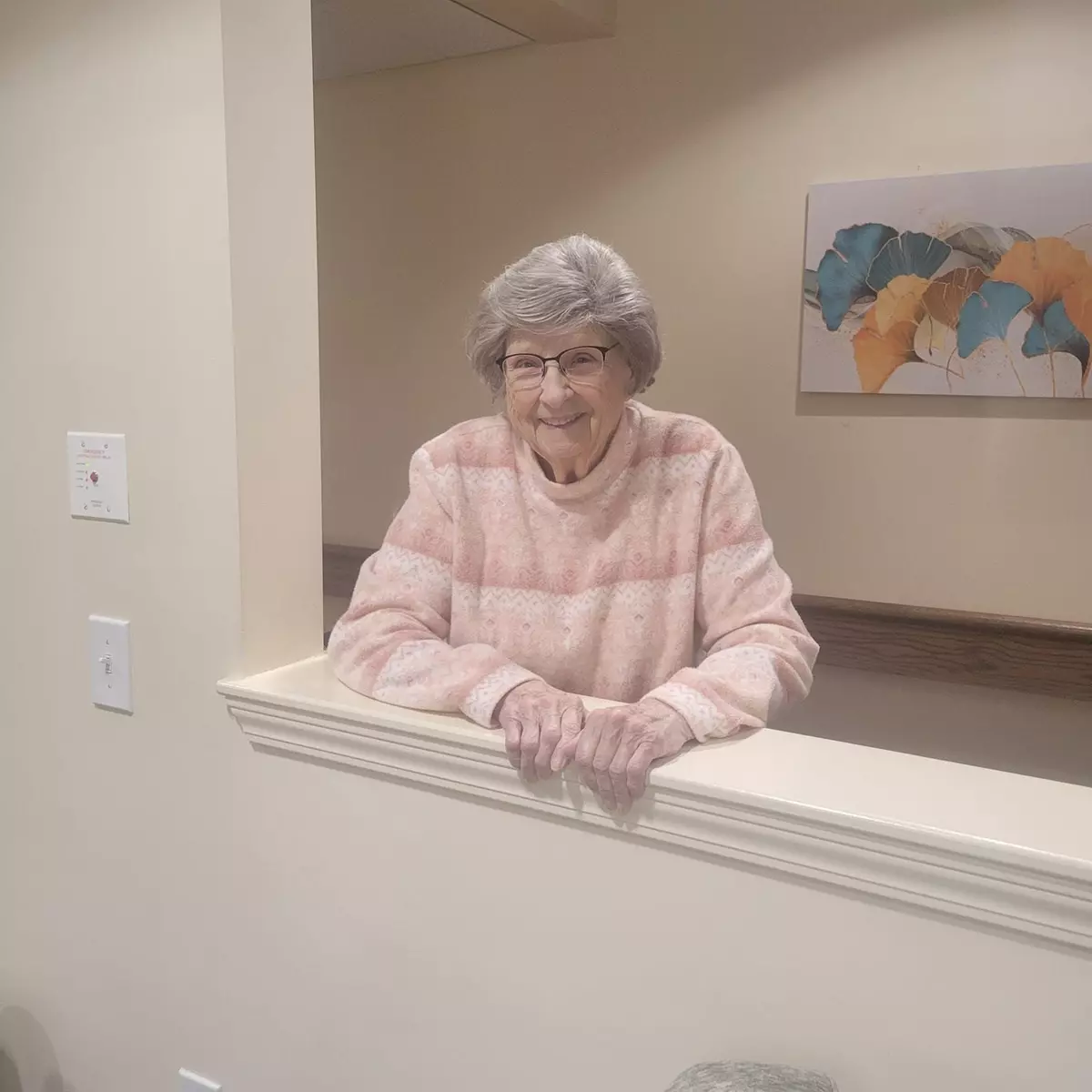 Devonshire Retirement Village, Lapeer, MI 29