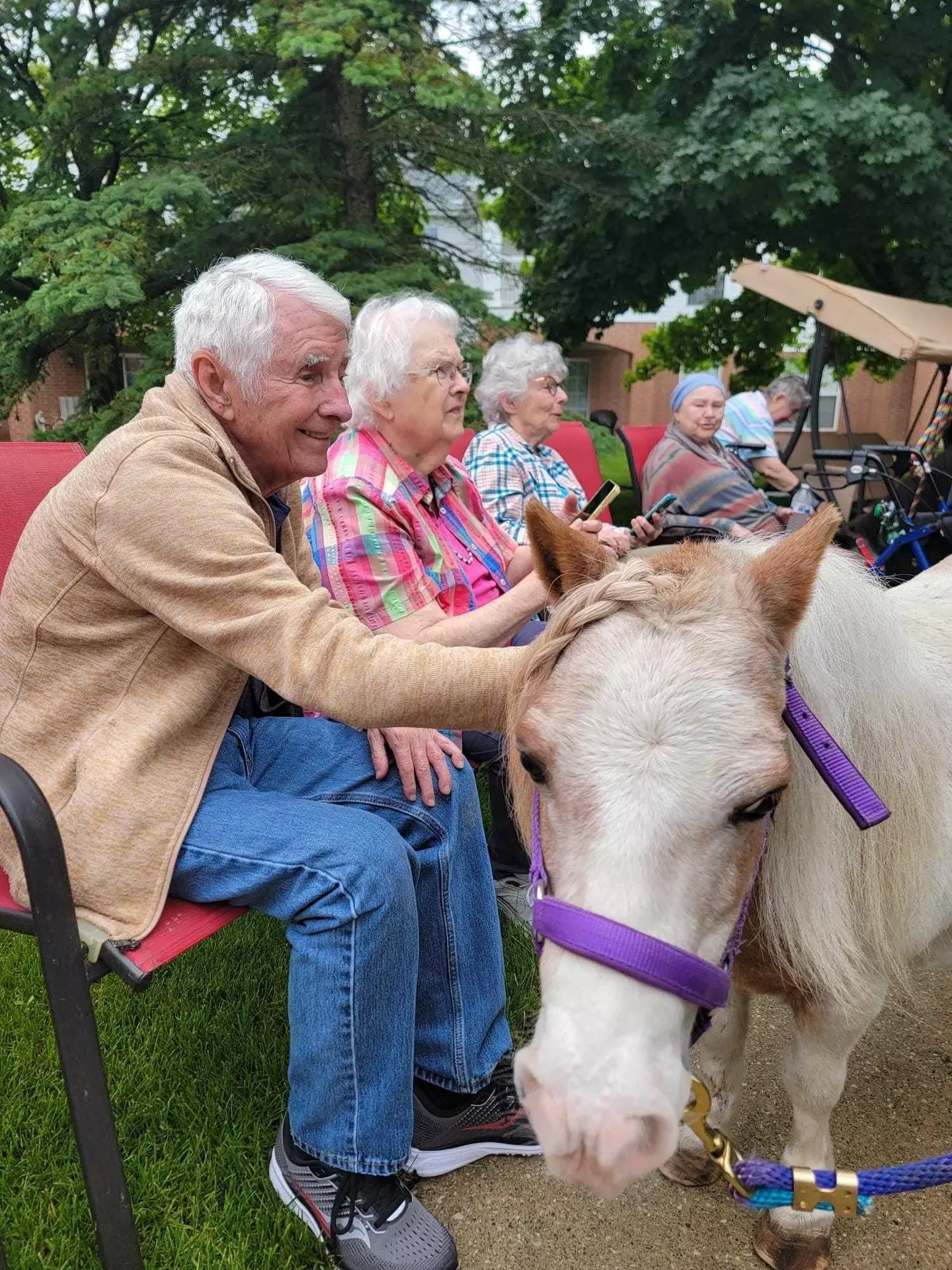 Independence Village of Midland, Midland, MI 83