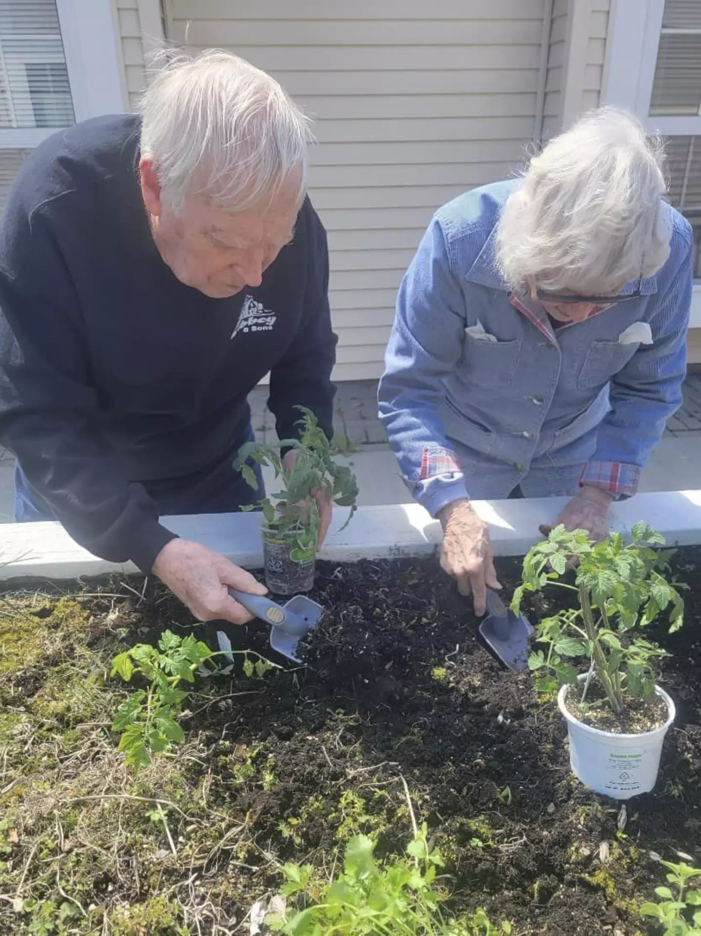 Devonshire Retirement Village, Lapeer, MI 32