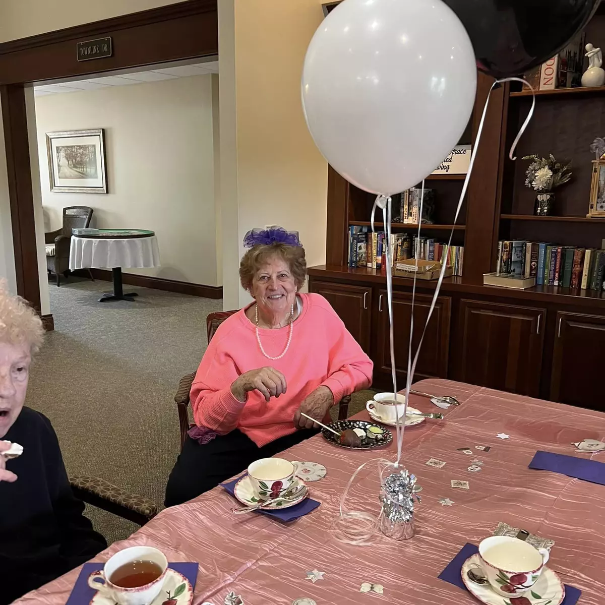 Lakeview Terrace Assisted Living, Lakeview, MI 32