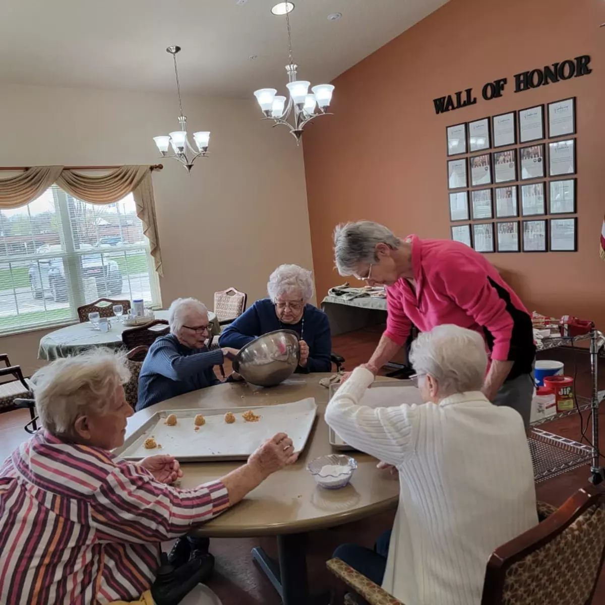 Lakeview Terrace Assisted Living, Lakeview, MI 33