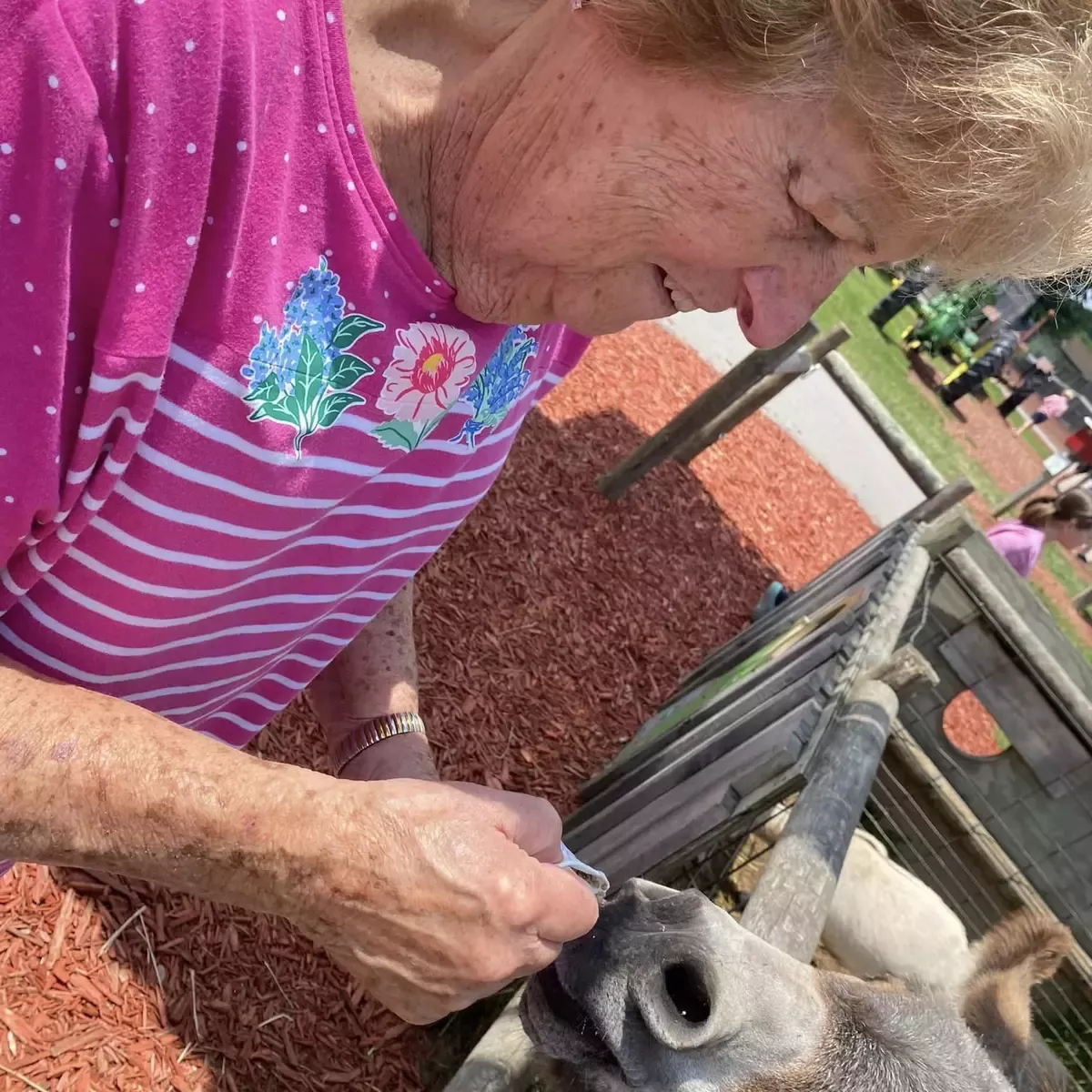 Cascade Trails Senior Living, Grand Rapids, MI 43