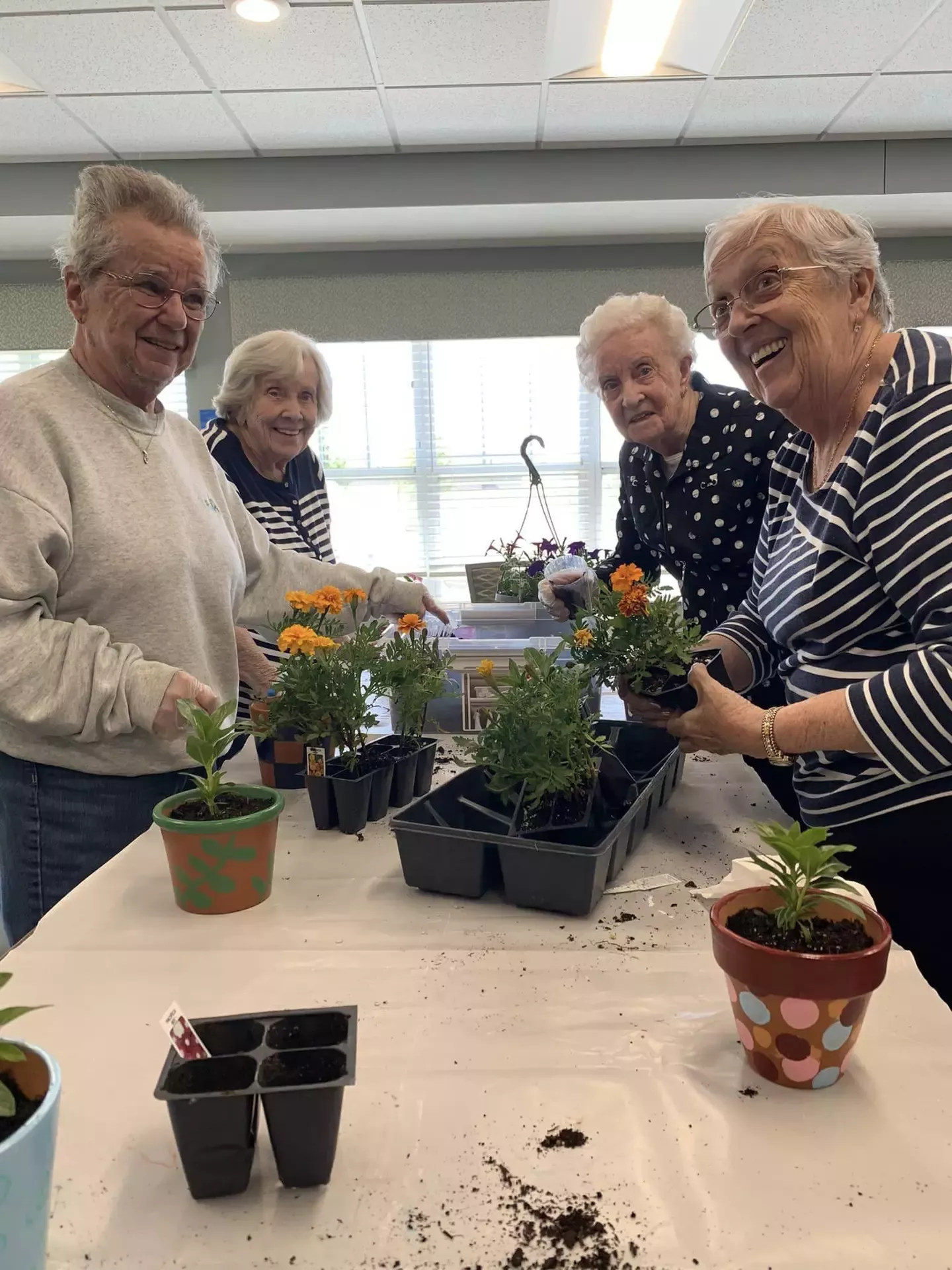 Hathaway Hills Assisted Living & Memory Care, Greenville, MI 45