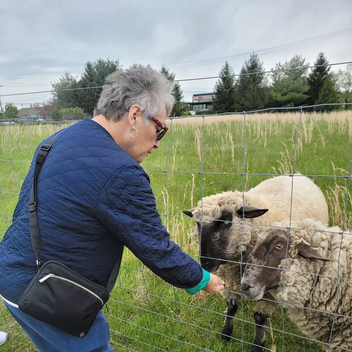 StoryPoint Gahanna North, Gahanna, OH 48