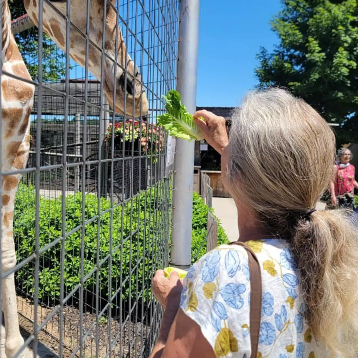 Hathaway Hills Assisted Living & Memory Care, Greenville, MI 62