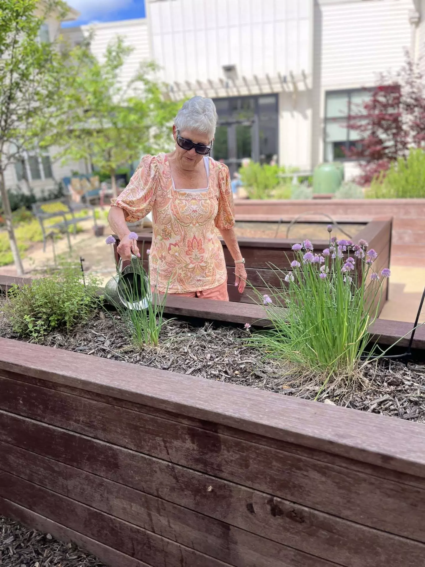 StoryPoint Cordova 65