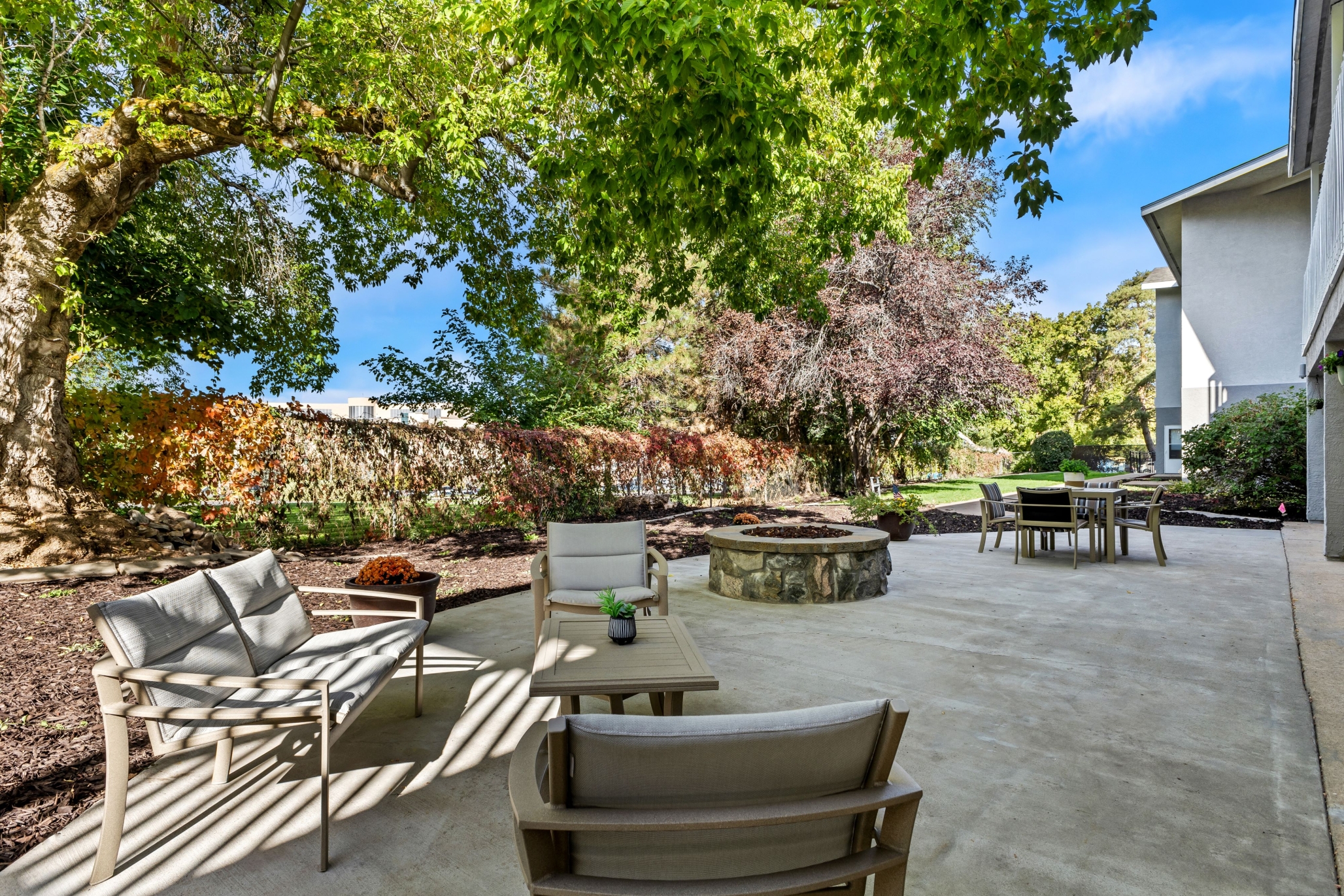 Harrison Regent, Ogden, UT 14