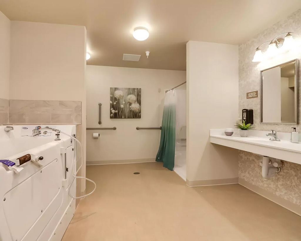 Springvale Assisted Living & Memory Care, Swartz Creek, MI 24