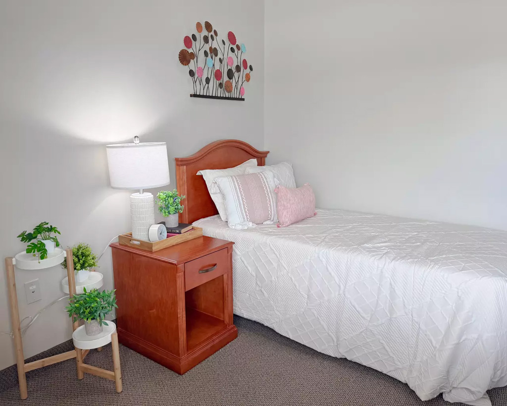 Springvale Assisted Living & Memory Care, Swartz Creek, MI 28