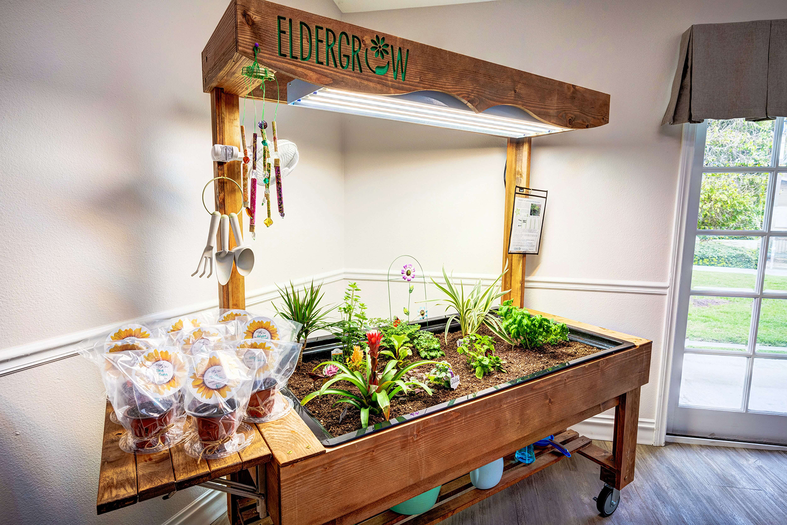 Ivy Terrace at Garden Grove, Garden Grove, CA 3