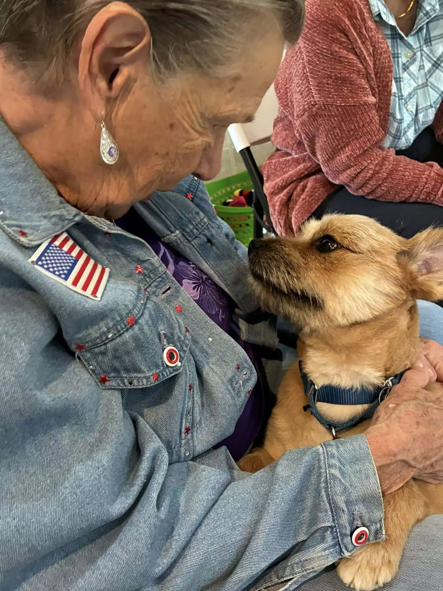 StoryPoint Fenton, Fenton, MI 54