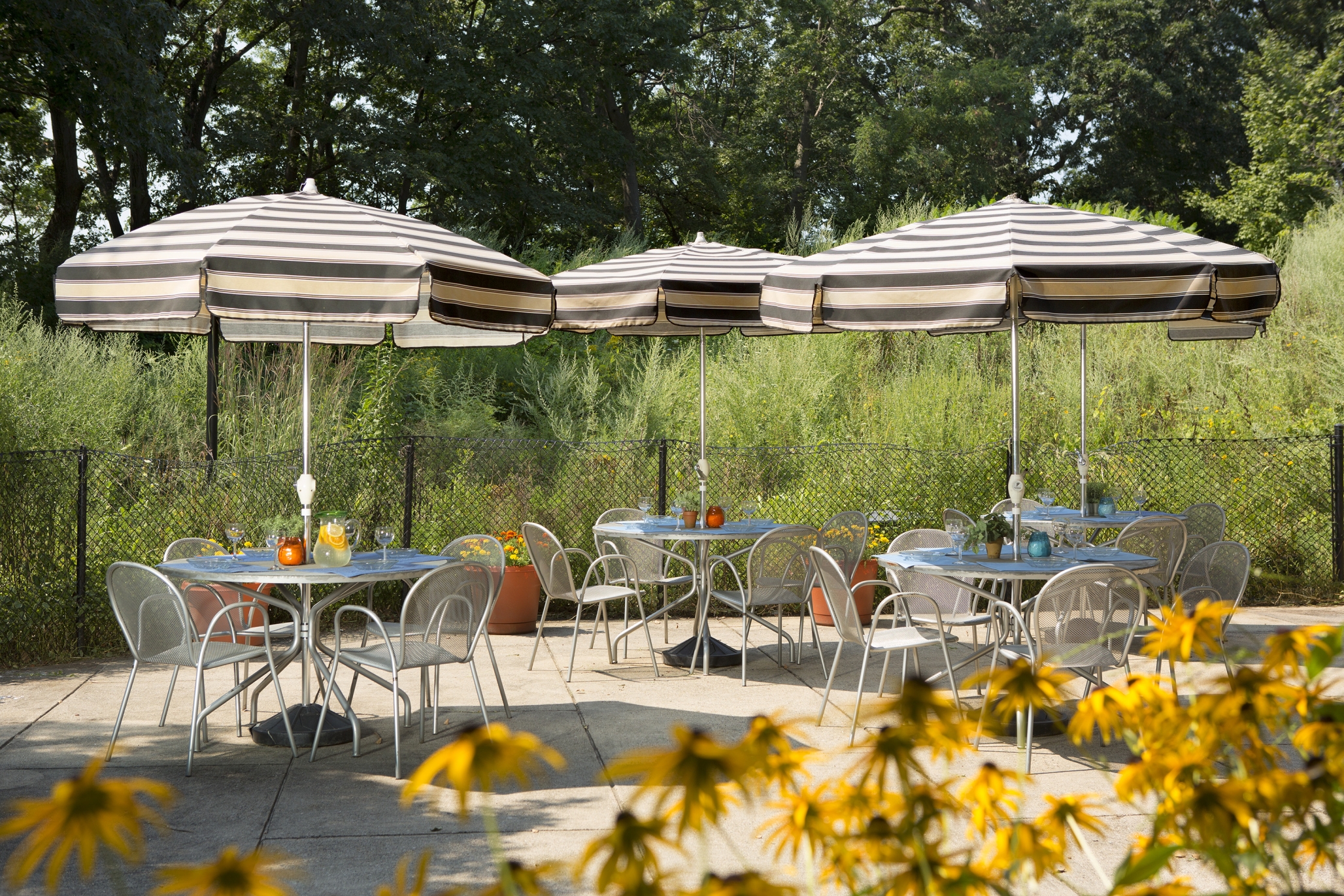 Neville Place, Cambridge, MA 2