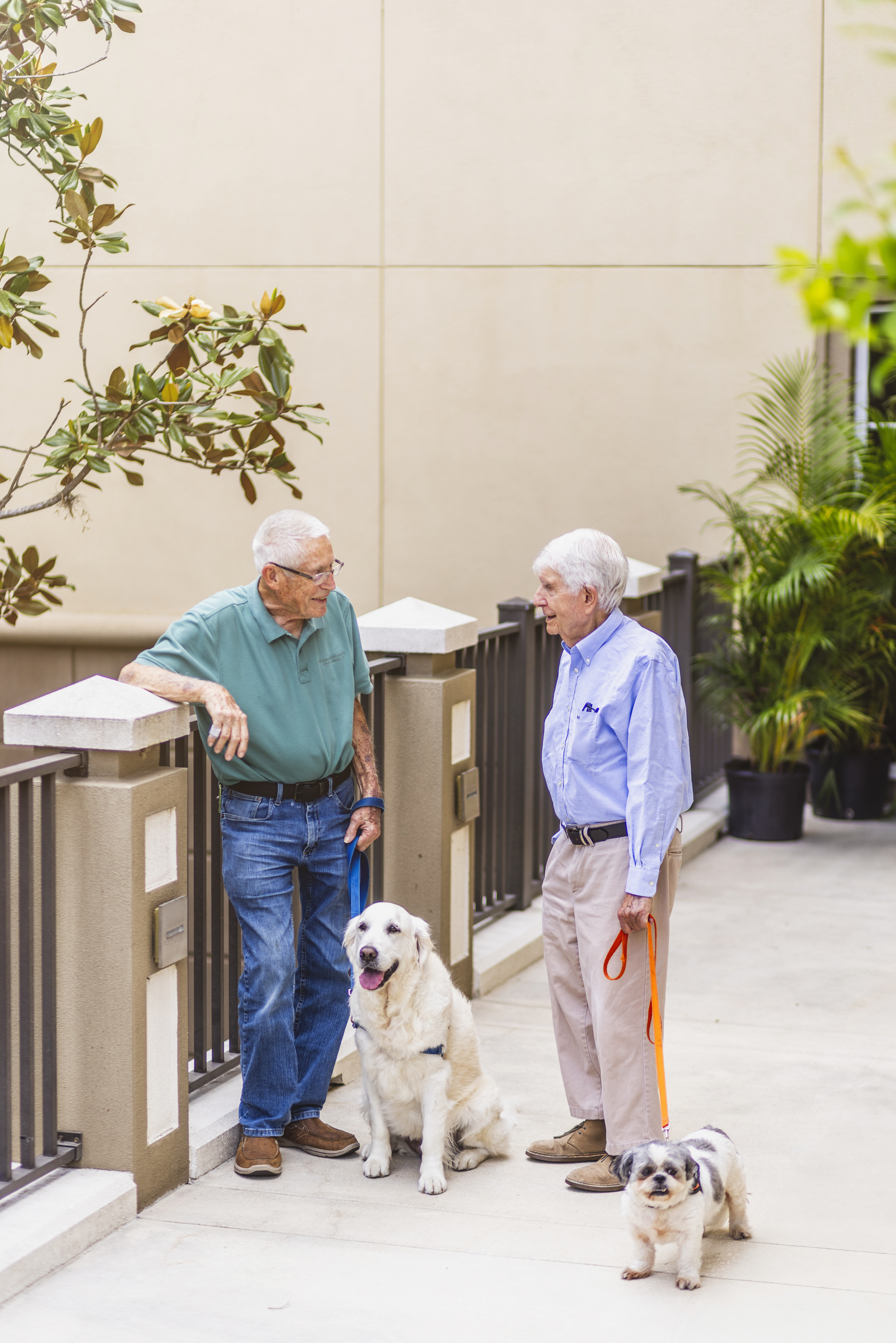 Westminster Lakeland, Lakeland, FL 12