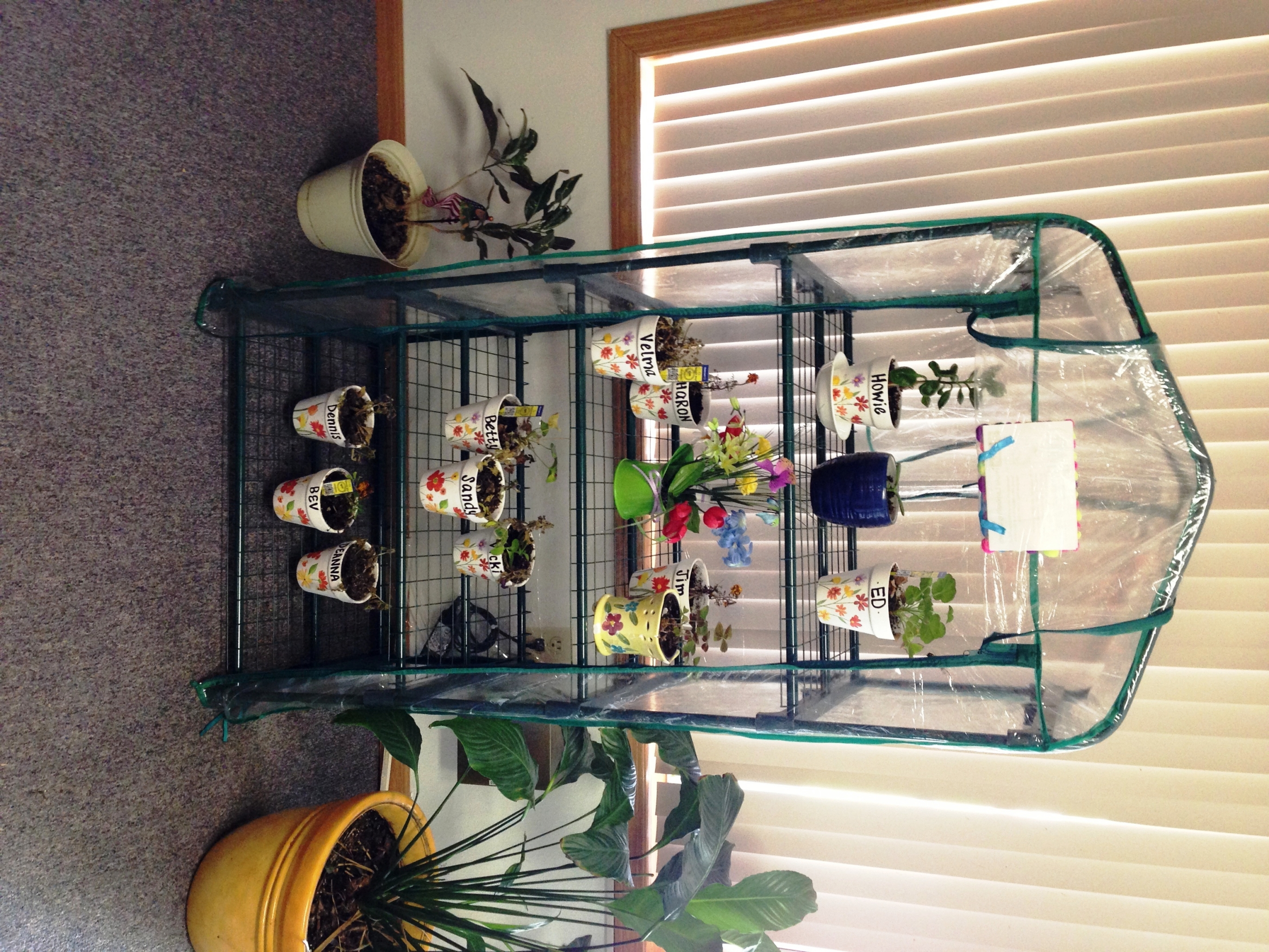 Country Terrace – Black River Falls, Black River Falls, WI 6