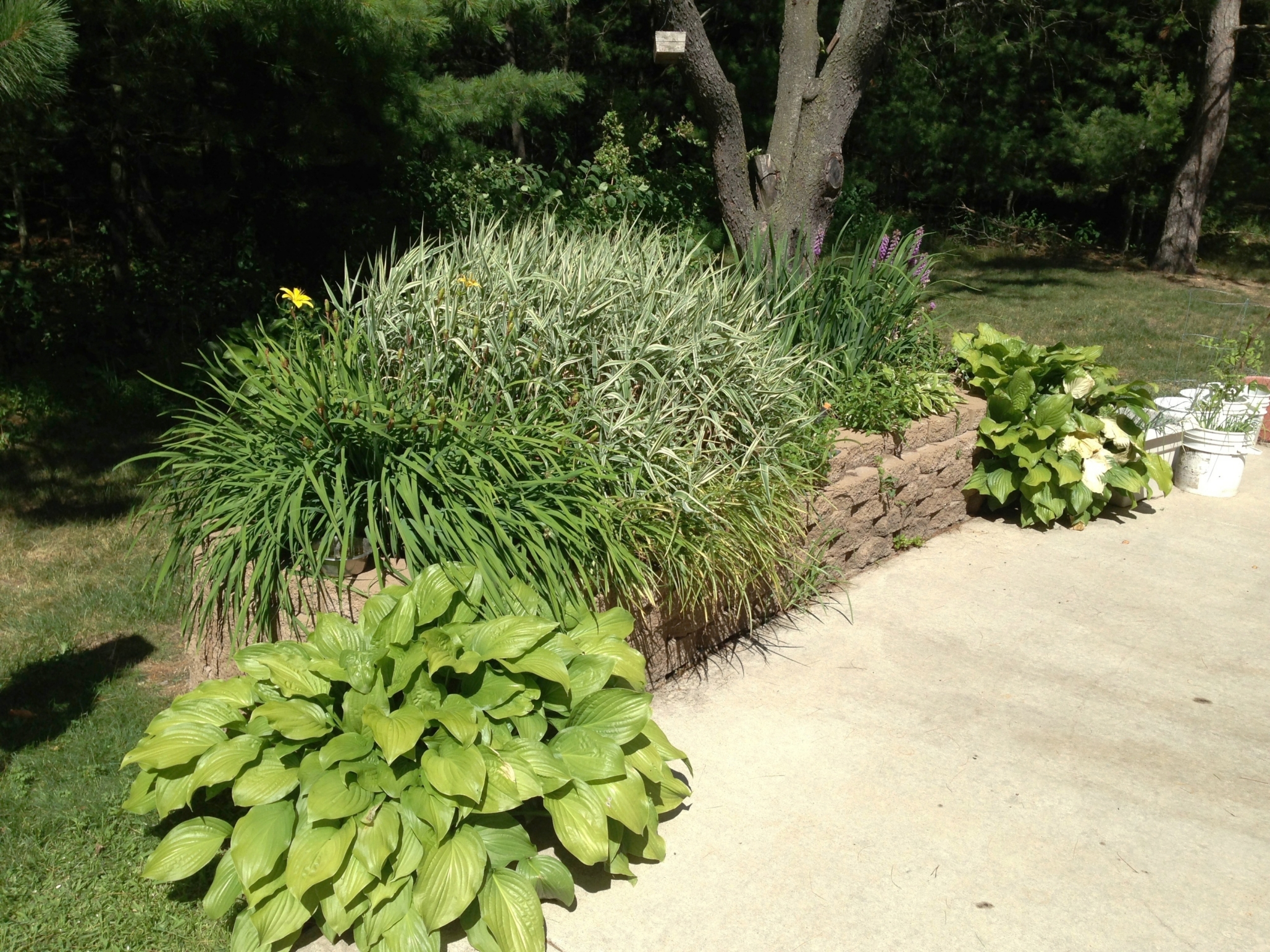 Care Partners – Weston, Schofield, WI 12