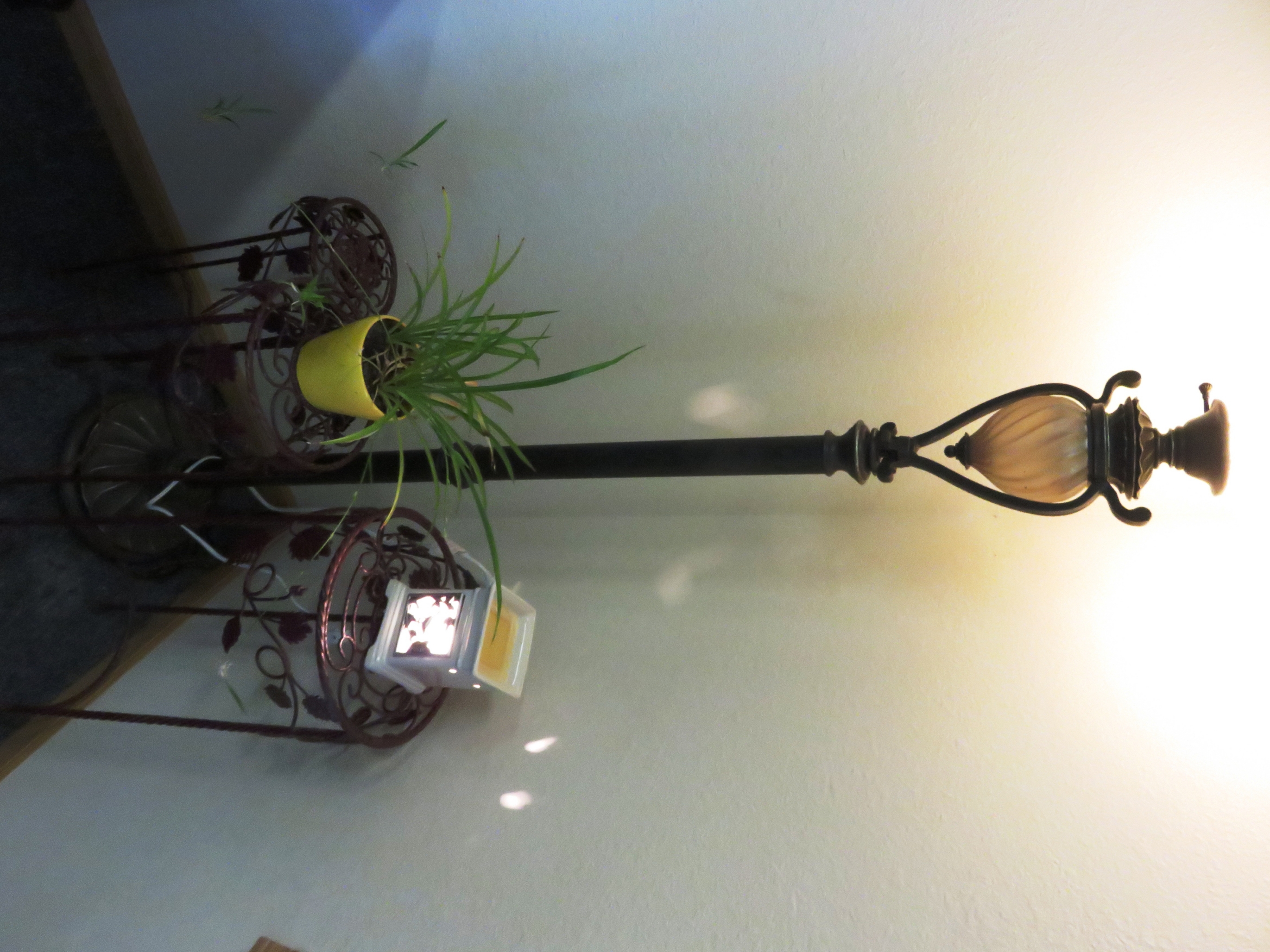 Country Terrace – Stanley, Stanley, WI 24