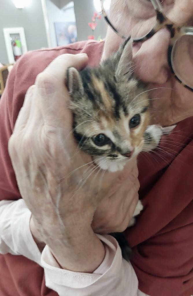 Lili Gardens Assisted Living