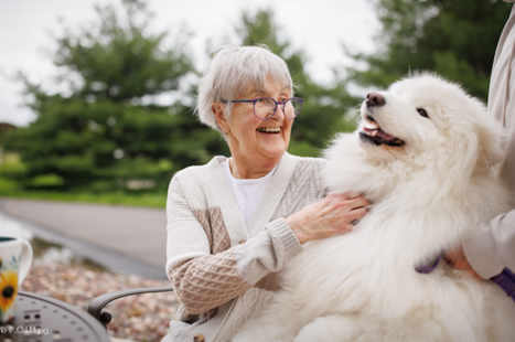 The Courtyard at Fitchburg, Fitchburg, WI 5