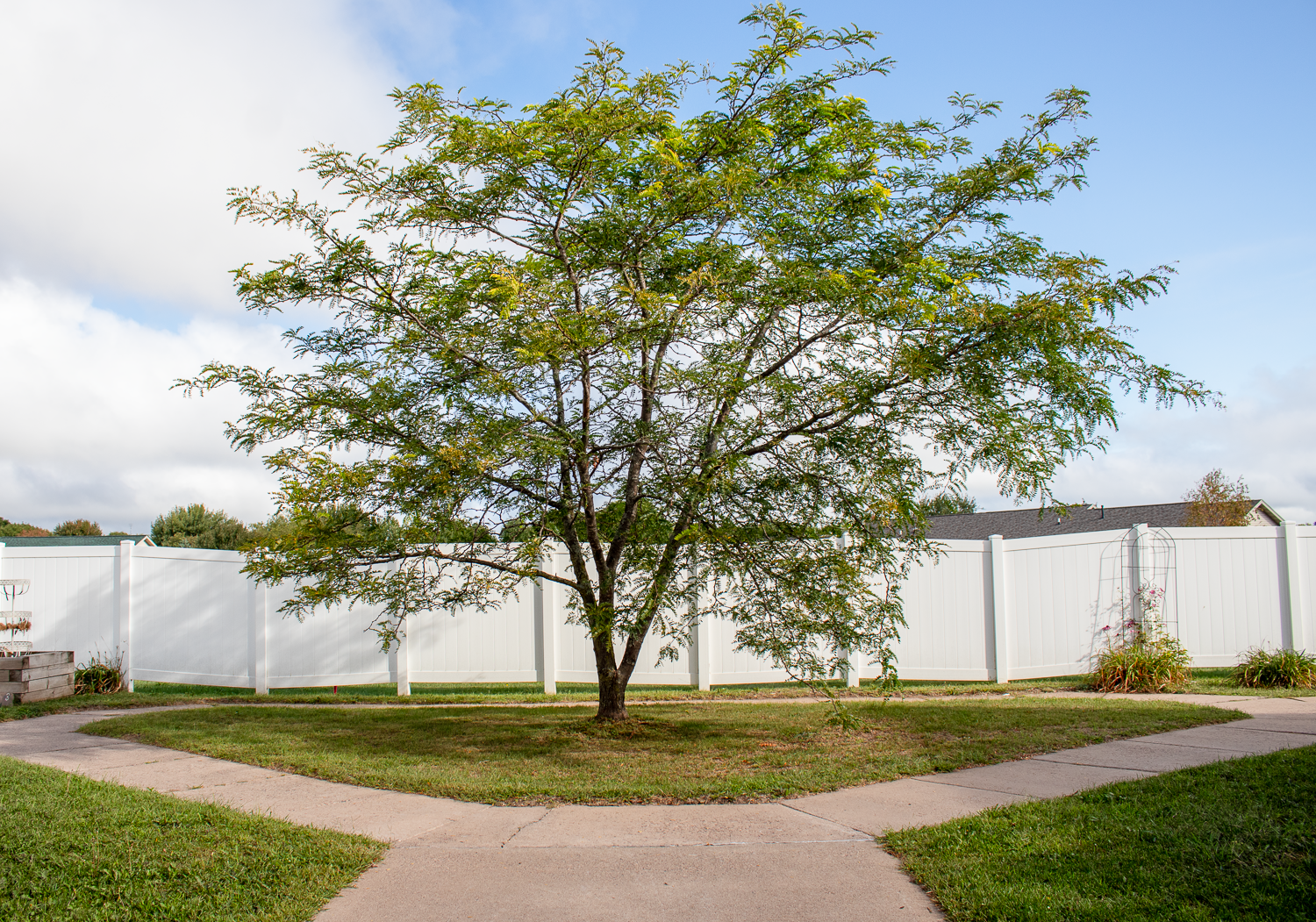 Our House Senior Living – Rice Lake Memory Care, Rice Lake, WI 4