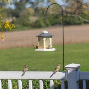 Sunset Ridge Assisted Living, Watertown, WI 7