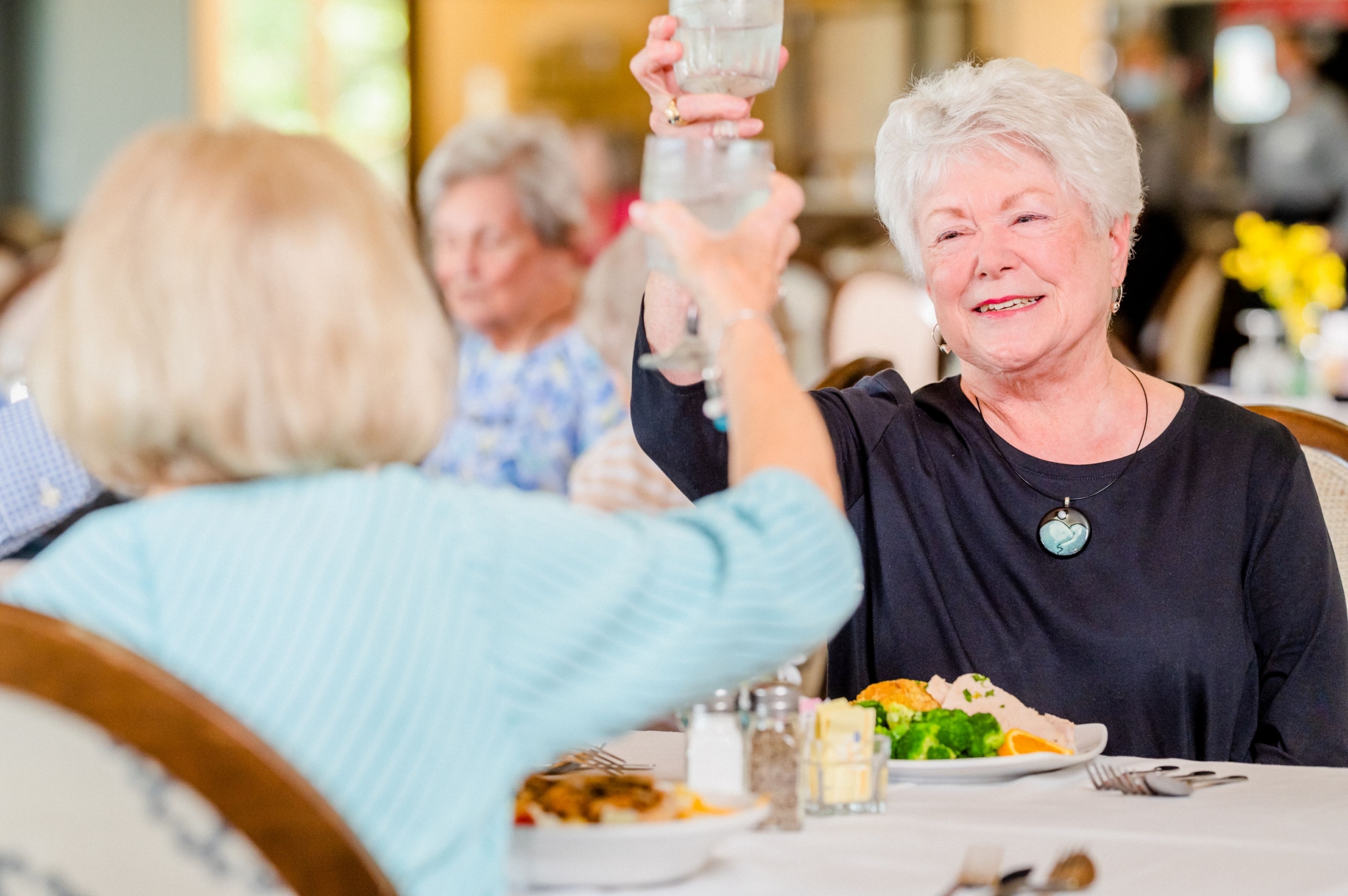 Ascension Living Alexian Village Tennessee, Signal Mountain, TN 4