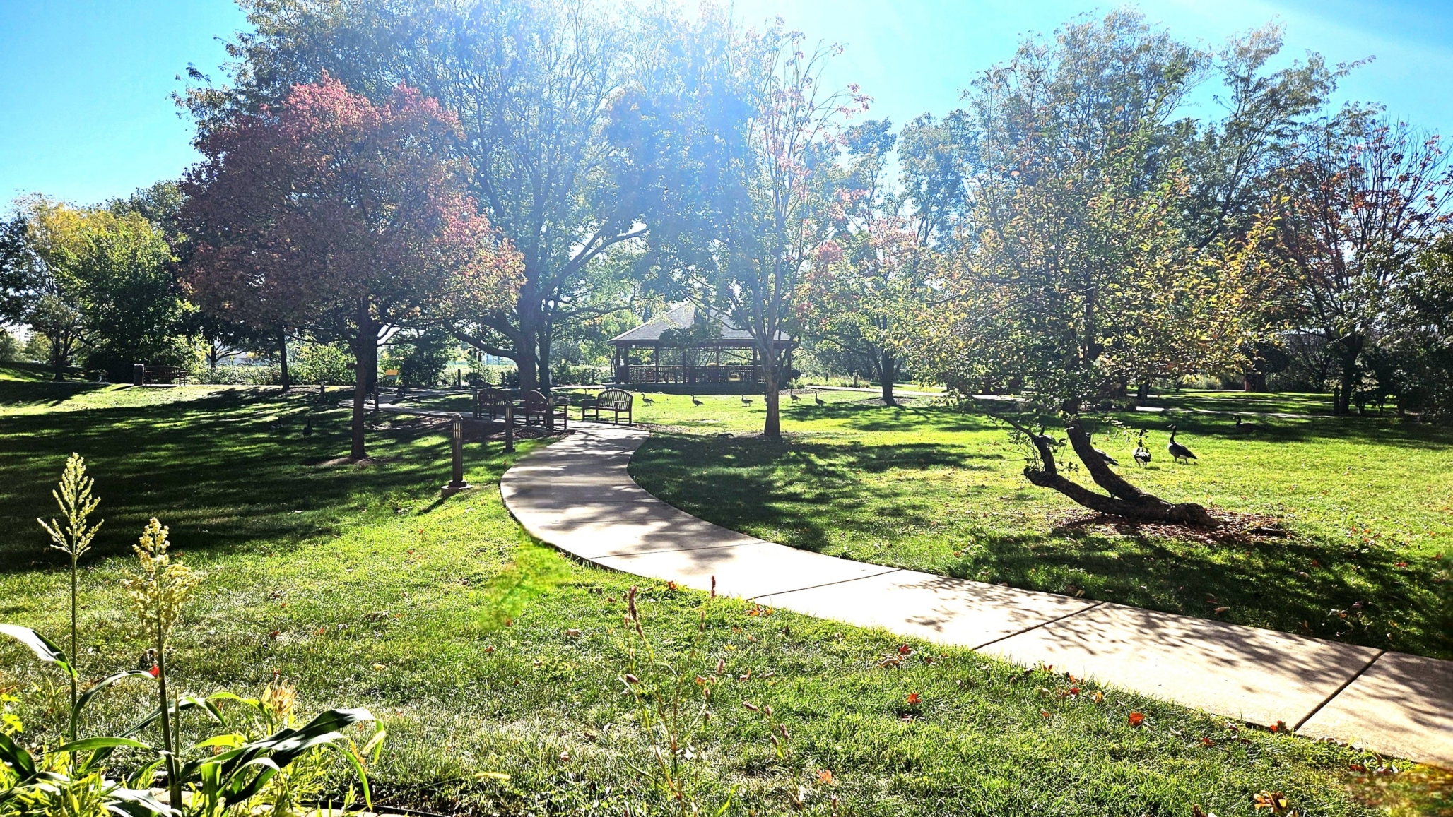 Ascension Living  Casa Scalabrini Village, Northlake, IL 4