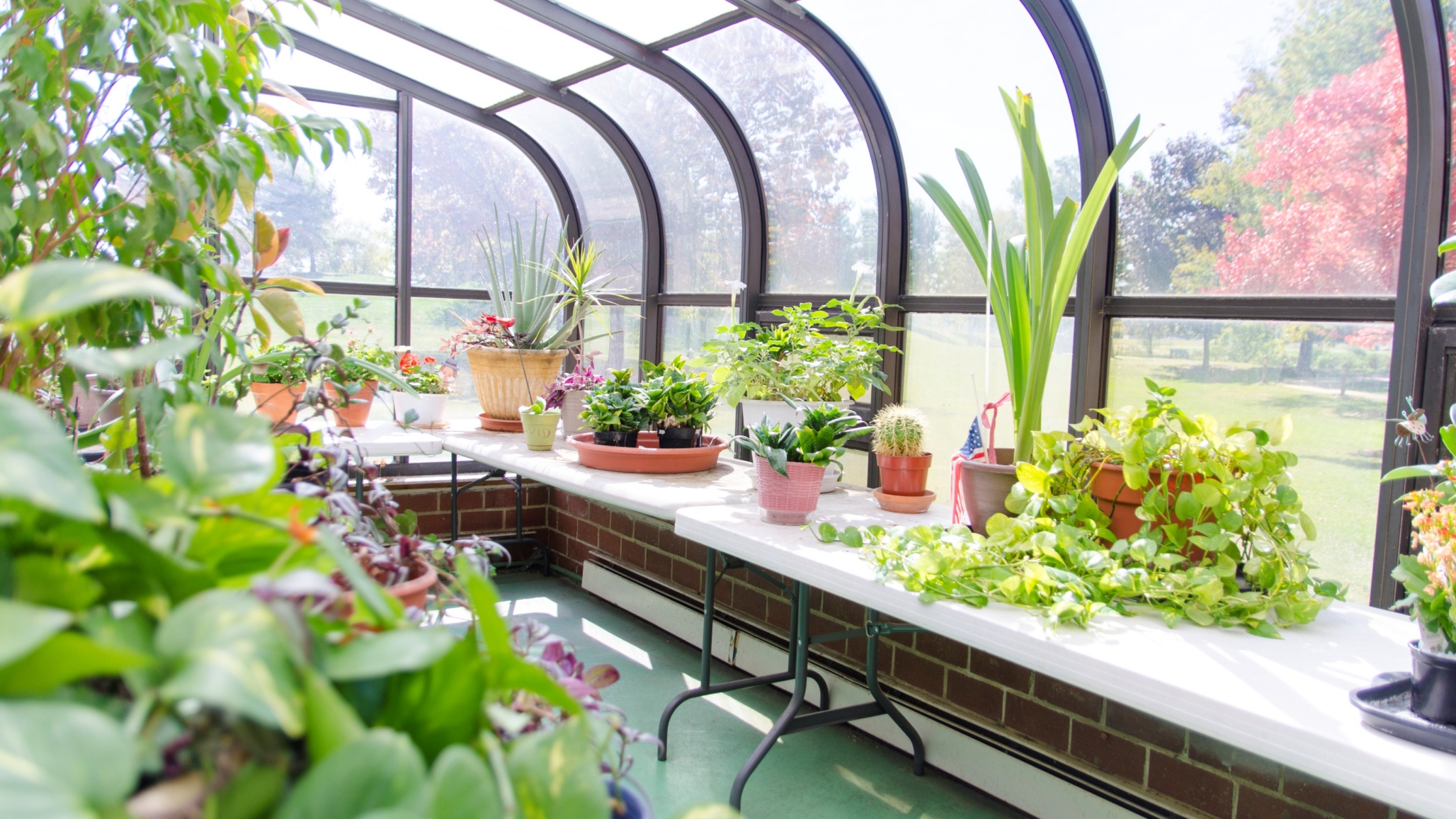 Ascension Living  Casa Scalabrini Village, Northlake, IL 5