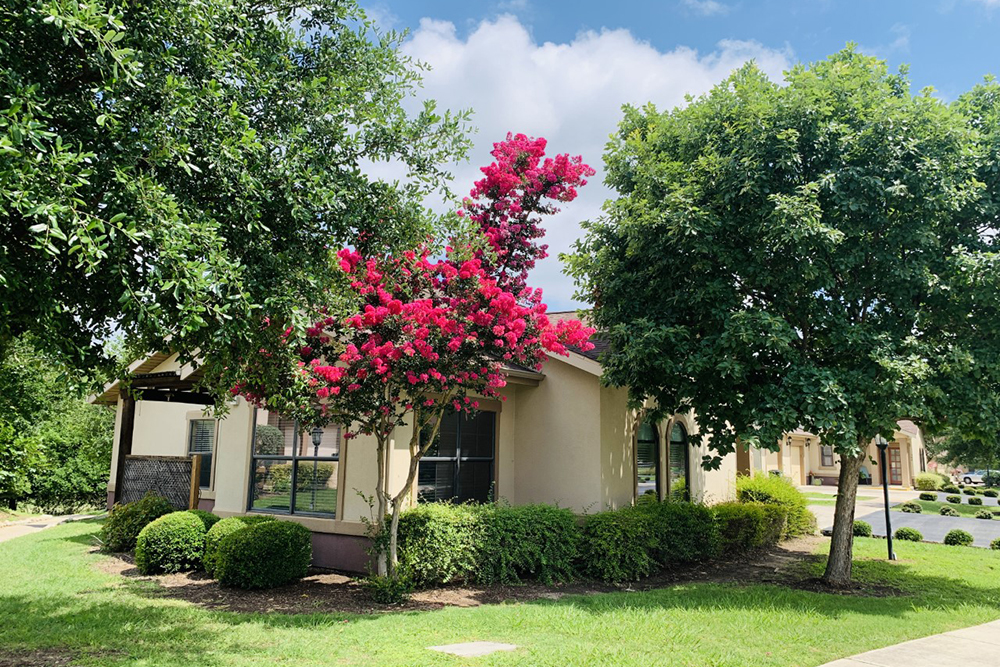 Villa De San Antonio, San Antonio, TX 5