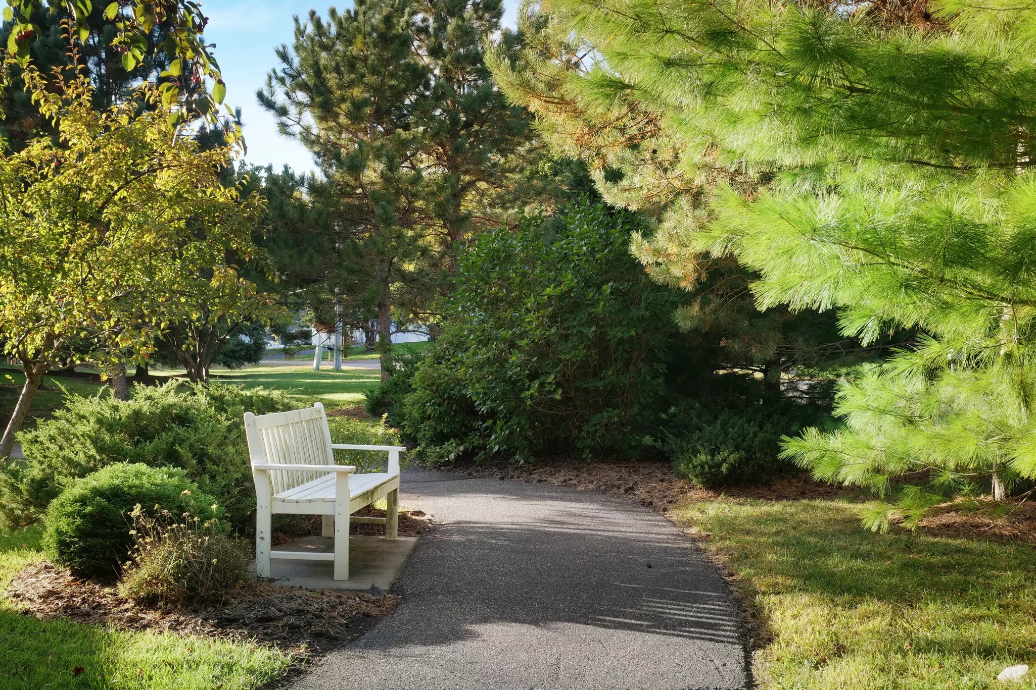StoryPoint Minnetonka, Minnetonka, MN 7