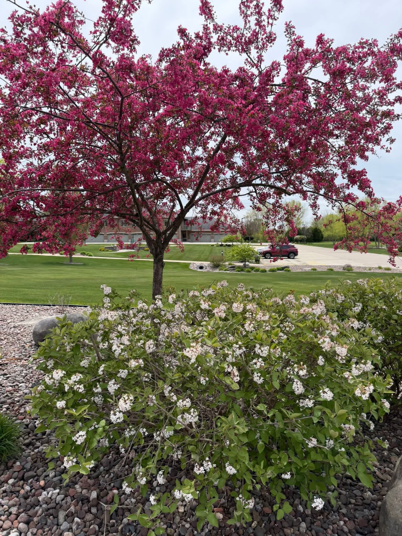 Tudor Oaks, Muskego, WI 2