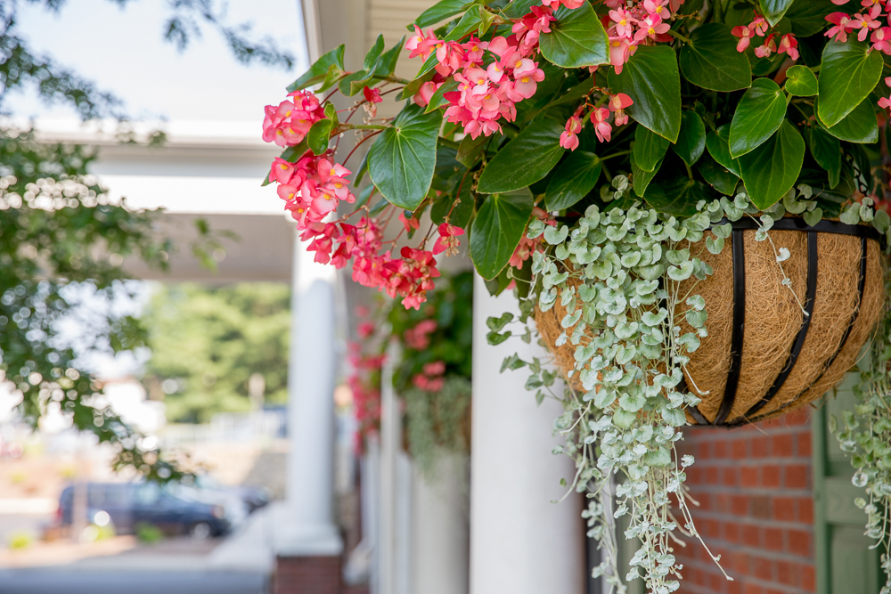 RoseWood Village Greenbrier, Charlottesville, VA 12
