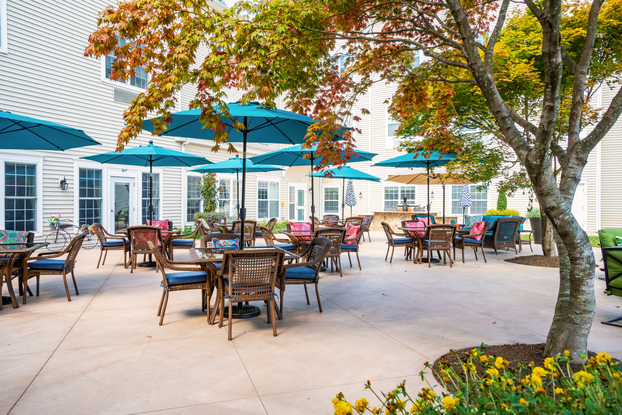 RoseWood Village Greenbrier, Charlottesville, VA 23